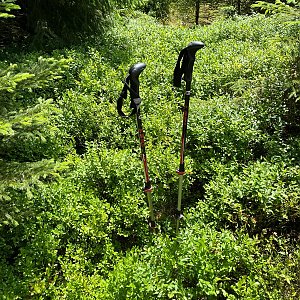 Radka D na vrcholu Dračí skála JZ (26.6.2024 13:23)