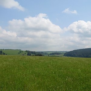 Nojby na vrcholu Vranovská pole (23.5.2023 13:01)