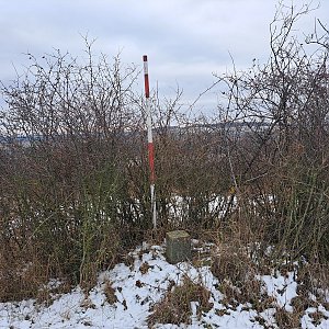 Horalka Anička na vrcholu Dunajovický kopec (13.1.2024)