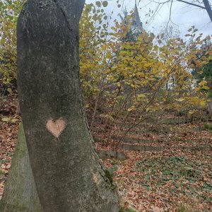 Jana F na vrcholu Borová (8.11.2025 9:58)