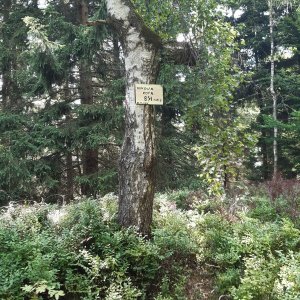 ZdenkaV na vrcholu Bukowa Kopa (13.8.2025 12:30)