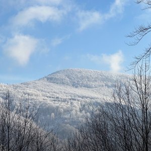 Ostrý Ropice Javorový 