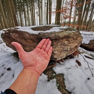 Jiří Králík na vrcholu Nad Javorem (21.11.2024 13:15)