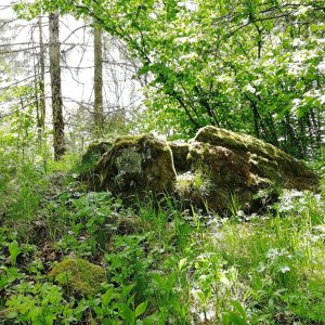 Vladimír Grančay na vrcholu Nad Lachovicemi II (21.5.2025 13:34)