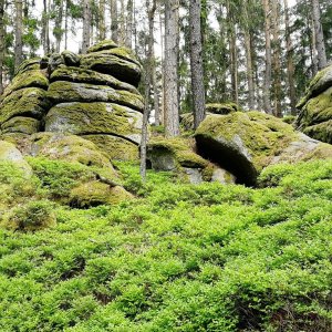 Vladimír Grančay na vrcholu Kraví hora - JV vrchol II (21.5.2025 14:26)