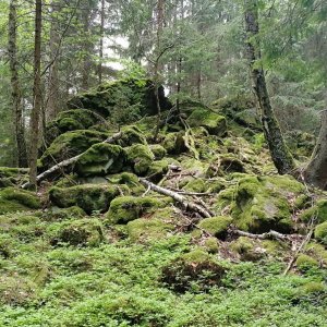 Vladimír Grančay na vrcholu Hrudkovský kopec (21.5.2025 15:42)