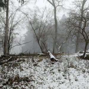 Vladimír Grančay na vrcholu Bernartičky (30.11.2025 14:12)