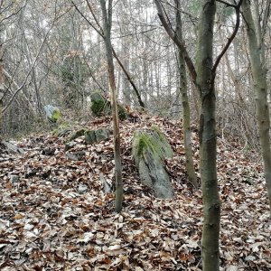 Vladimír Grančay na vrcholu Nad Poustevnou - J vrchol (1.3.2025 11:44)