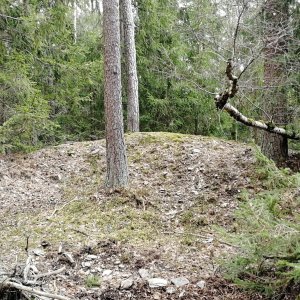 Vladimír Grančay na vrcholu Nad Hořipnou (1.3.2025 12:54)