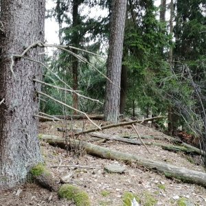 Vladimír Grančay na vrcholu Nad Hořipnou - Z vrchol (1.3.2025 12:47)