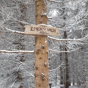 ZdenkaV na vrcholu Zmrzlý vrch (26.1.2022 15:04)