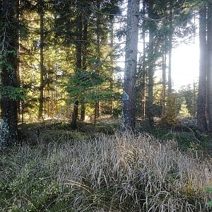 Vladimír Grančay na vrcholu Myslivna - Z vrchol (4.11.2023 14:51)