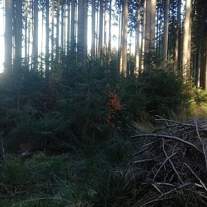 Vladimír Grančay na vrcholu Nad Pohořským potokem (4.11.2023 15:14)