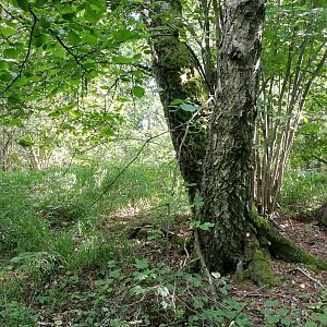 Vladimír Grančay na vrcholu Nad silnicí (12.8.2023 17:35)