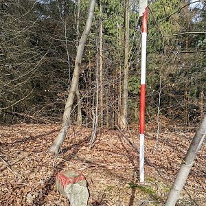 Šárka na vrcholu Komorovský Grúň (15.3.2024 14:32)