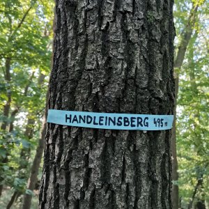 Šárka na vrcholu Handleinsberg (5.9.2023 9:40)