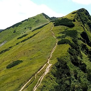 Jiřina na vrcholu Spodná veža Malého Kriváňa (15.7.2023)