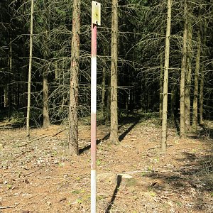 ZdenkaV na vrcholu Černý les (27.4.2024 11:49)