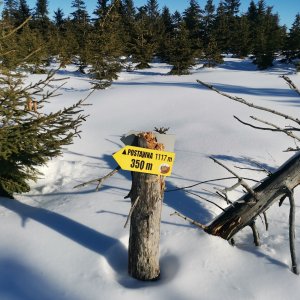 Jirka Valda na vrcholu Postawna (18.1.2025 11:07)