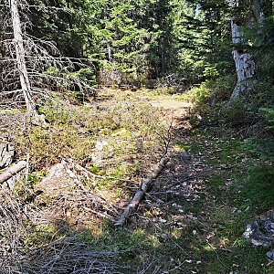 Pavel Martínek na vrcholu Jezerní hora - S vrchol (4.9.2024 12:52)