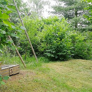 Vladimír Grančay na vrcholu Ostrov (24.6.2023 10:37)