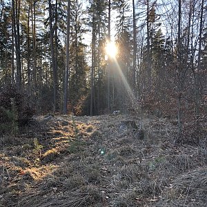 Anežka Boříková na vrcholu Nad Červenodvorskou cestou (28.1.2024 15:26)