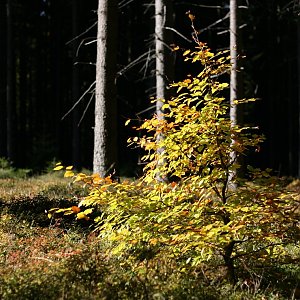 Bouřka na vrcholu U Rudské silnice (23.10.2023 11:18)