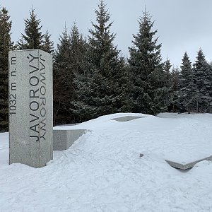 Jarek na vrcholu Javorový vrch (12.2.2022 10:49)