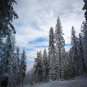 Petra Kopačková na vrcholu Javorový vrch (22.1.2023 13:19)