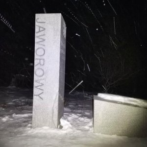 Šárka na vrcholu Javorový vrch (6.12.2024 17:20)