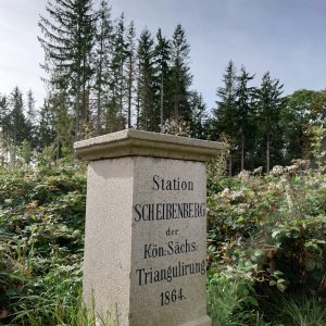 Nojby na vrcholu Scheibenberg (6.10.2023 12:23)