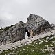 Fíkus na vrcholu Col di Varda (23.8.2019 10:50)
