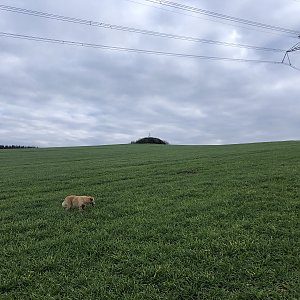 Anežka Boříková na vrcholu U vodojemu (18.11.2023 10:28)