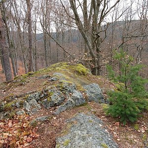 Nojby na vrcholu Dívčí skok (20.4.2023 10:18)