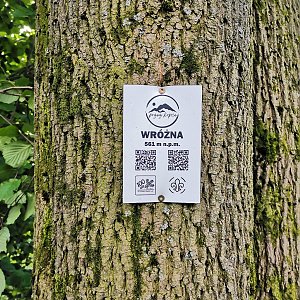 Šárka na vrcholu Wróżna (21.7.2023 14:54)