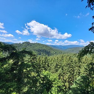 Mertelici na tripu na vrcholu Baranská skála (11.7.2023 12:04)