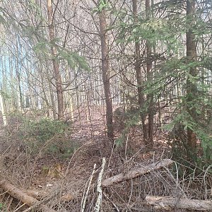 Cyklista 73 na vrcholu Kamenný vrch (7.4.2024 9:19)