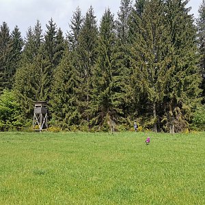 Šárka na vrcholu Stupný (8.5.2024 11:04)