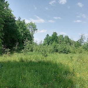 Zdena Trommler na vrcholu Tamovská hůrka  (27.5.2023 14:38)