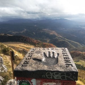 Badger na vrcholu Trebević (27.10.2023 16:05)