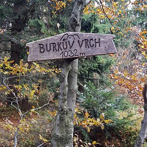 Dafko94 na vrcholu Burkův vrch / Burkov vrch (23.10.2021 14:20)
