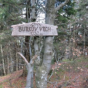 ZdenkaV na vrcholu Burkův vrch / Burkov vrch (20.5.2021 15:00)