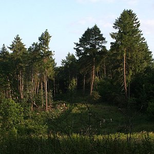 Bouřka na vrcholu Hradišťany - JZ vrchol (3.7.2023 6:49)