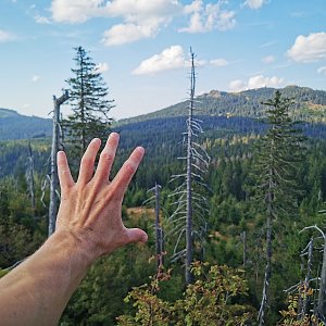 Jiří Králík na vrcholu Mittagsplatzl - SZ (28.8.2024 16:16)