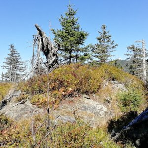 Vladimír Grančay na vrcholu Mittagsplatzl - SZ (19.9.2025 12:18)