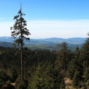 Bouřka na vrcholu Mittagsplatzl - Z (27.4.2025 11:24)