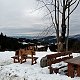 Iva Purmenská na vrcholu Bukovina (1.3.2020 12:00)