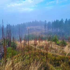 Pavel Vohryzka na vrcholu Černá hora (16.11.2025 9:08)