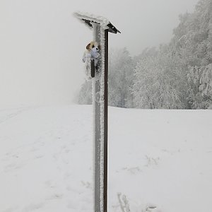 ZdenkaV na vrcholu Kocmínek (10.2.2021)