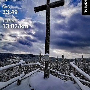 Medvěd Codiak na vrcholu Rolandův kámen (7.1.2021 10:05)